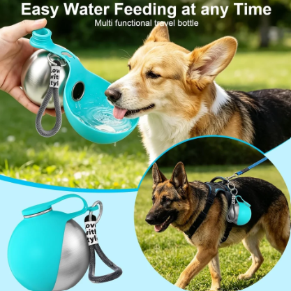 Dog drinking from SnoutSip Steel Canteen